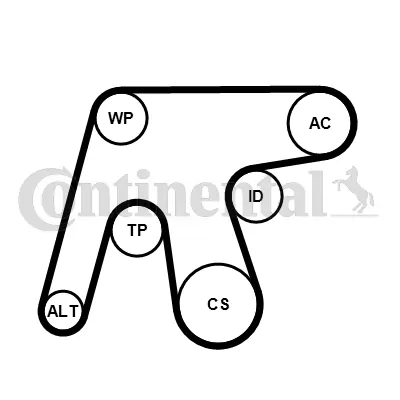 Water Pump + V-ribbed Belt Kit